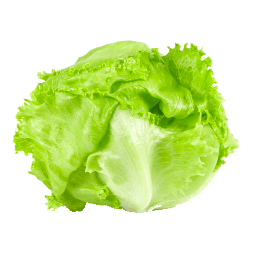 net carbs in iceberg lettuce